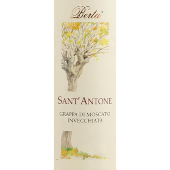 Berta Sant'Antone